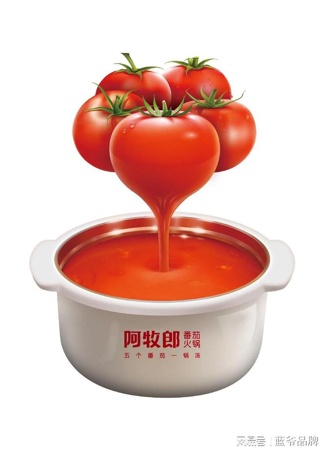 公司-蓝爷品牌设计-懂生意的公司麻将胡了免费试玩专业品牌设计的(图1)