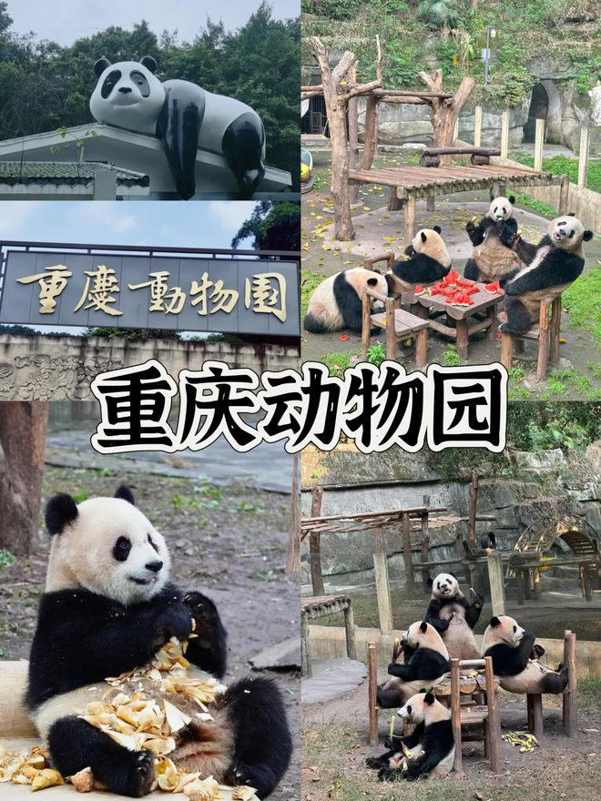 少？重庆2天1晚自由行最佳路线图麻将胡了模拟器重庆二日游花销多(图2)
