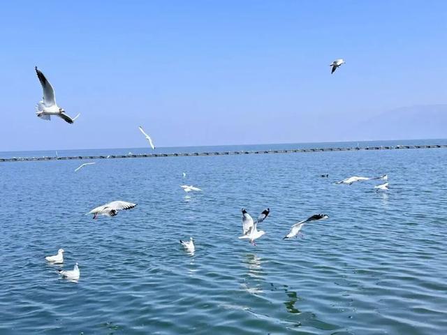 适合穷游的7大城市!麻将胡了成都出发超(图2) 适合穷游的7大城市!麻将胡了成都出发超(图2)